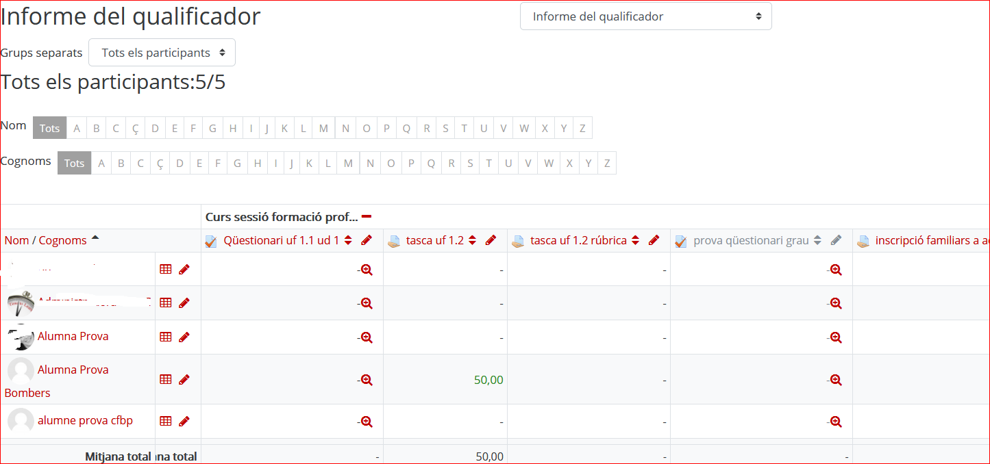 Informe del qualificador